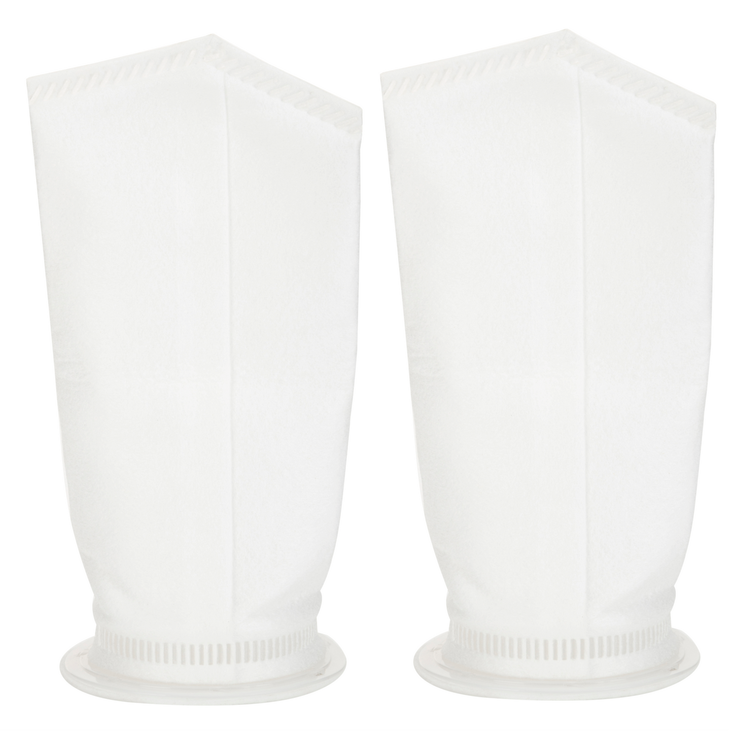 Sediment Filter FB-10-1M, Filter Bag 1 Micron for filtering sand (10 inch, Pack of 2)